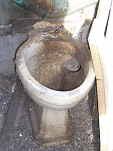 Toilet Pest Control